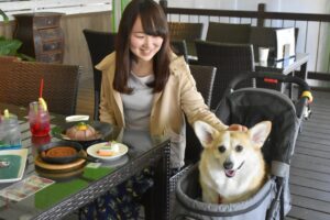 ぐらんぱる公園イルミネーションは犬と行ける？カート必須の条件解説
