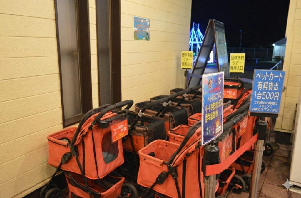 カートは必須？レンタルの注意点