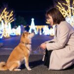 るり渓のイルミネーションは犬連れOK？宿泊や周辺ランチ情報も
