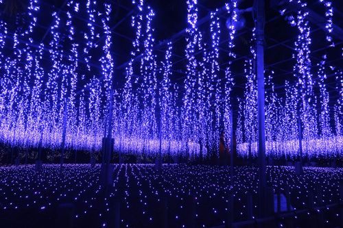 あしかがフラワーパーク イルミネーション 所要時間を左右する要因