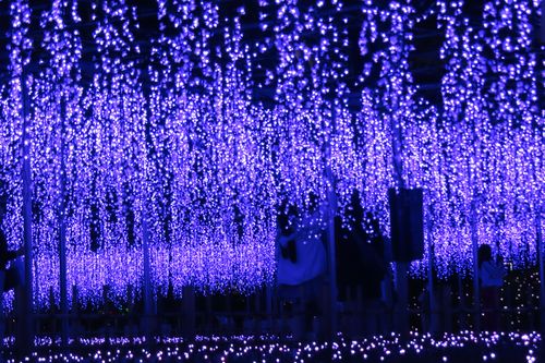 駆け足プランの最短所要時間