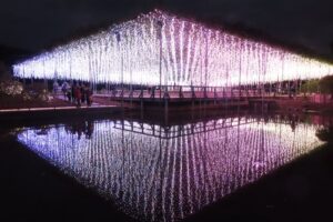 あしかがフラワーパーク イルミネーションの所要時間と目的別ガイド