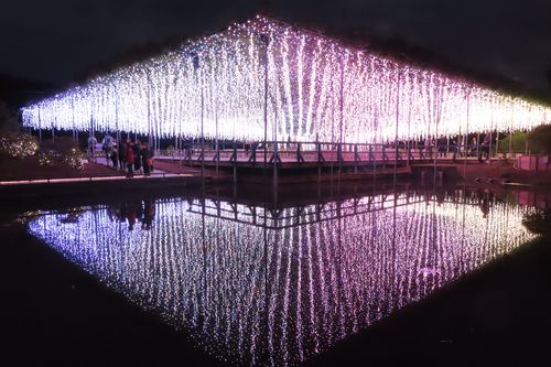 平均滞在時間は？スタンダードプラン