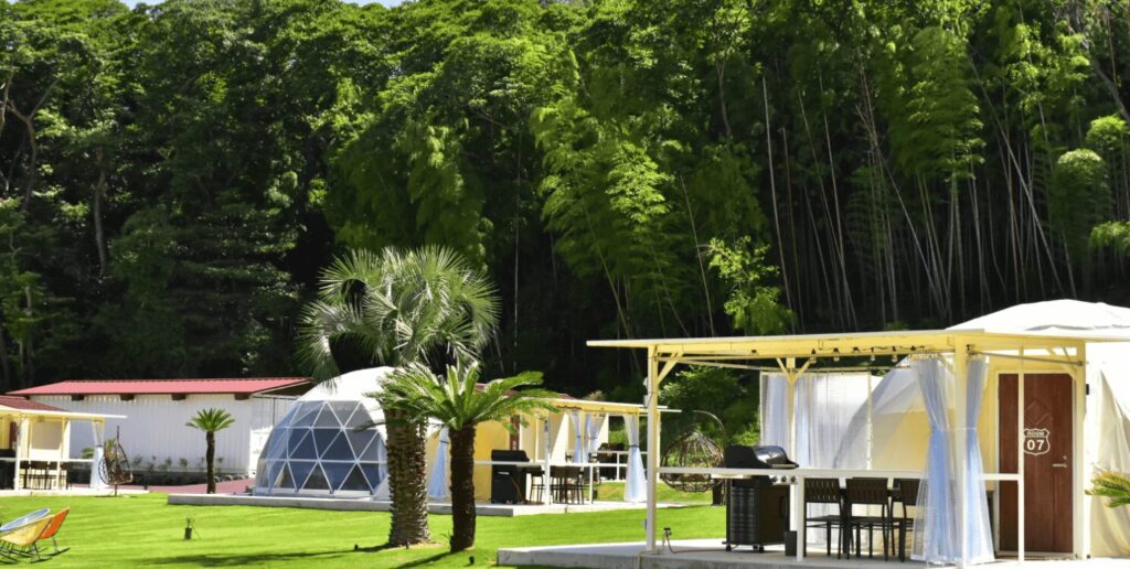 周辺ホテルと観光プランの提案