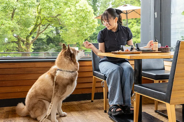 待ち時間は愛犬の駅で食事を確保