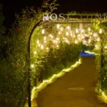 あしかがフラワーパークのイルミネーションはペット可？愛犬との攻略法