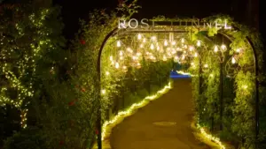 あしかがフラワーパークのイルミネーションはペット可？愛犬との攻略法