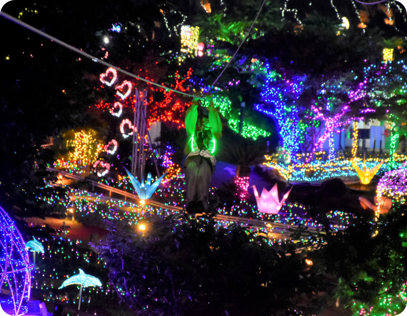 最新シーズンの見どころ紹介