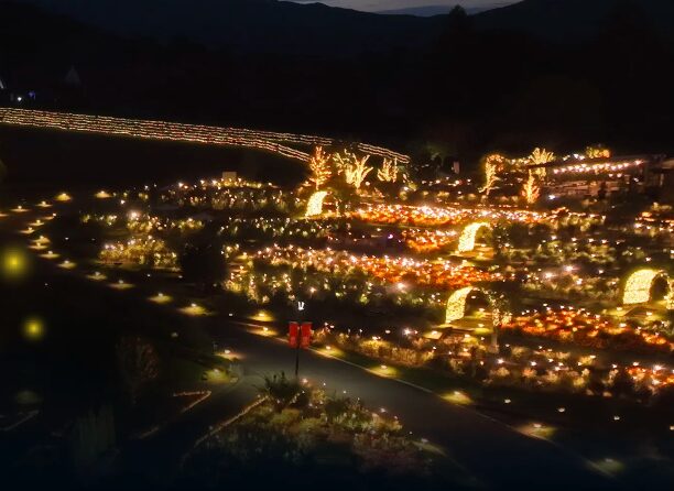 あしかがフラワーパークイルミネーションでペット可の周辺施設