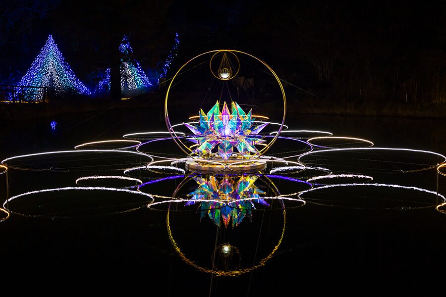 イルミネーションとライトアップの輝き