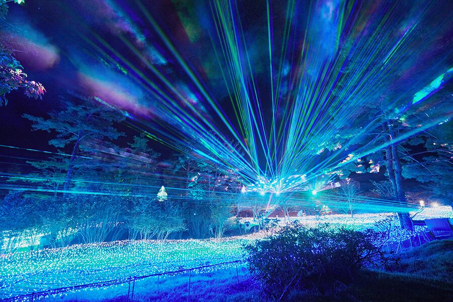 イルミネーションとライトアップの輝き